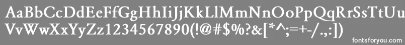 フォントGaramondNormalBold – 灰色の背景に白い文字