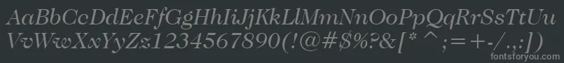 CaslonNo.224BookItalicBt Font – Gray Fonts on Black Background