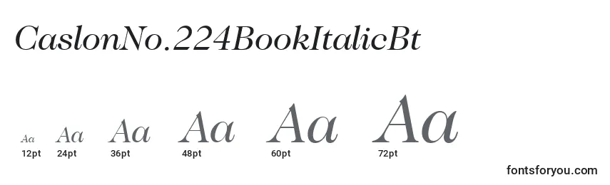 CaslonNo.224BookItalicBt Font Sizes