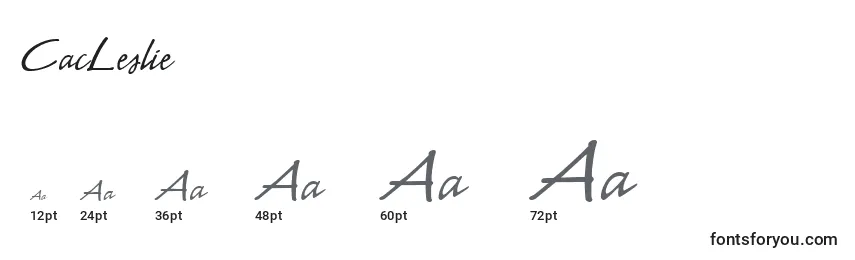 CacLeslie Font Sizes