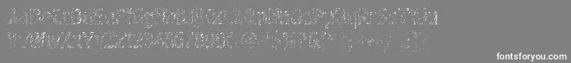 Graffiti4ctt-Schriftart – Weiße Schriften auf grauem Hintergrund