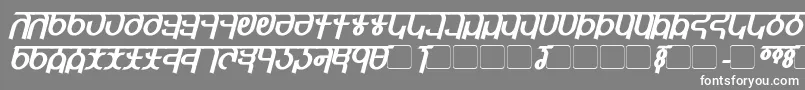 QijomiBoldItalic Font – White Fonts on Gray Background
