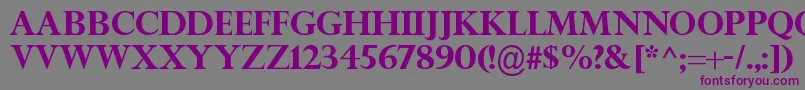 TitleWaveRegular Font – Purple Fonts on Gray Background