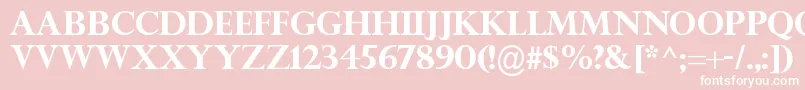 TitleWaveRegular Font – White Fonts on Pink Background