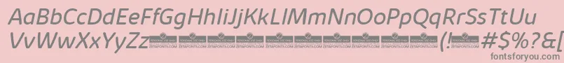 KabrioSoftBookItalicTrial Font – Gray Fonts on Pink Background