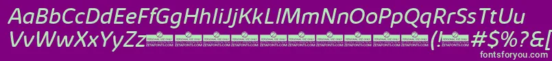 KabrioSoftBookItalicTrial Font – Green Fonts on Purple Background