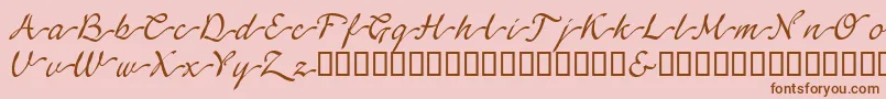 LinotypeagogoSwashone Font – Brown Fonts on Pink Background