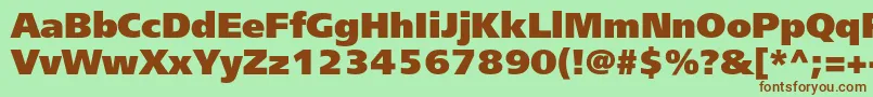 Freesetextraboldc Font – Brown Fonts on Green Background