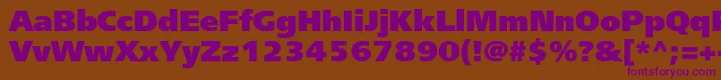 Freesetextraboldc Font – Purple Fonts on Brown Background