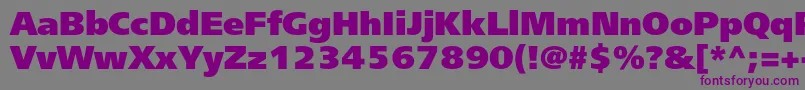 Freesetextraboldc Font – Purple Fonts on Gray Background