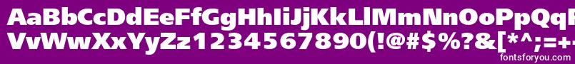 Freesetextraboldc Font – White Fonts on Purple Background