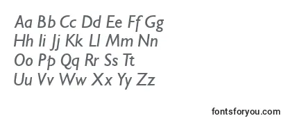 Обзор шрифта IdiomsskItalic