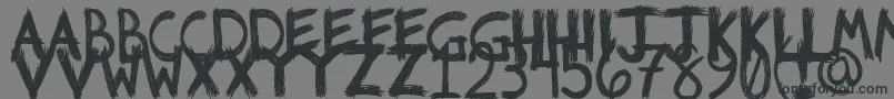 Riotfont1 Font – Black Fonts on Gray Background