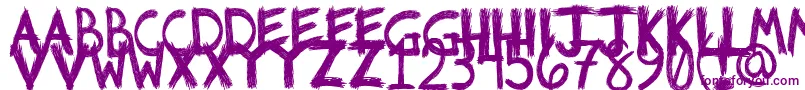 Riotfont1 Font – Purple Fonts on White Background