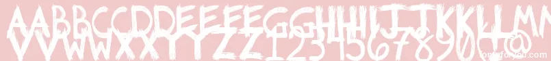 Riotfont1 Font – White Fonts on Pink Background