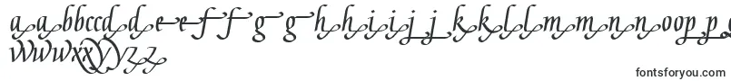GaiusLtBoldEnd Font – English Fonts