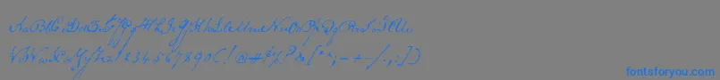 Шрифт Schoonerscript – синие шрифты на сером фоне