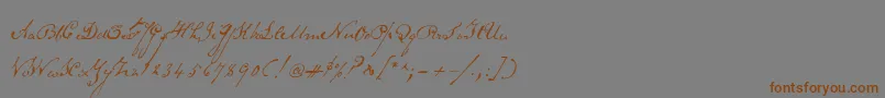 Schoonerscript Font – Brown Fonts on Gray Background