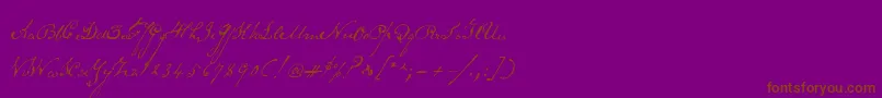 Schoonerscript Font – Brown Fonts on Purple Background