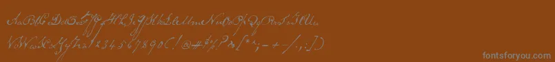 Schoonerscript Font – Gray Fonts on Brown Background