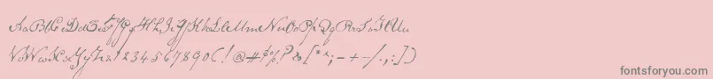 Schoonerscript Font – Gray Fonts on Pink Background