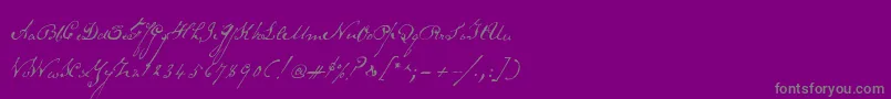 Schoonerscript Font – Gray Fonts on Purple Background