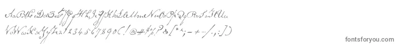 フォントSchoonerscript – 白い背景に灰色の文字