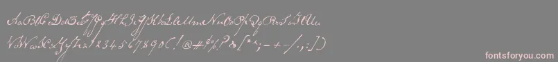 Schoonerscript-Schriftart – Rosa Schriften auf grauem Hintergrund