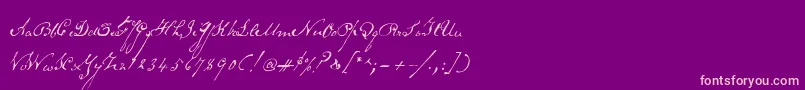 Schoonerscript Font – Pink Fonts on Purple Background