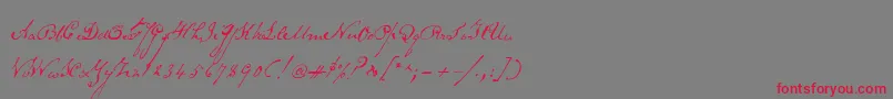 Schoonerscript Font – Red Fonts on Gray Background