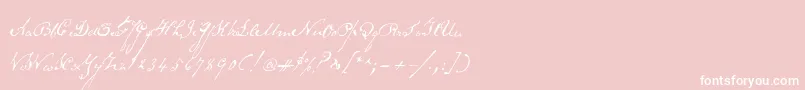 Schoonerscript-Schriftart – Weiße Schriften auf rosa Hintergrund