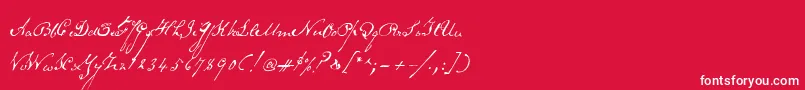Schoonerscript Font – White Fonts on Red Background