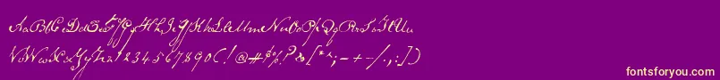 Schoonerscript Font – Yellow Fonts on Purple Background
