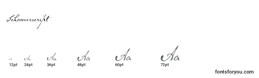 Размеры шрифта Schoonerscript