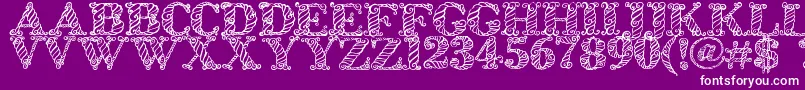 Zsynorebo Font – White Fonts on Purple Background