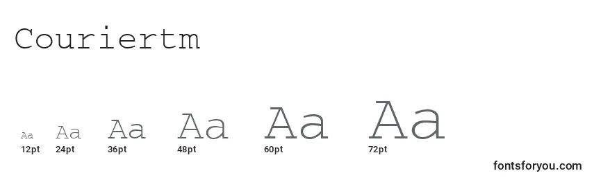 Couriertm Font Sizes