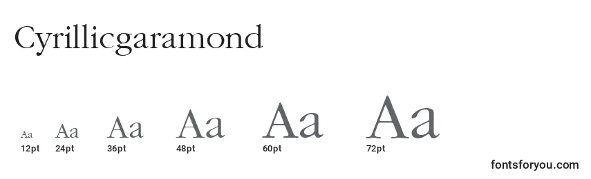Cyrillicgaramond Font Sizes