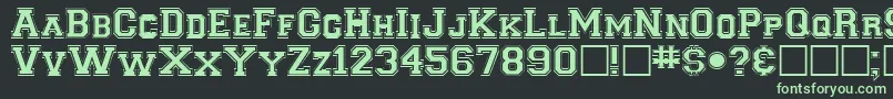 Czcionka ClancybRegular – zielone czcionki na czarnym tle