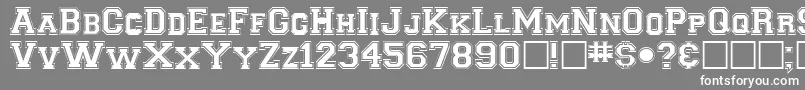 フォントClancybRegular – 灰色の背景に白い文字