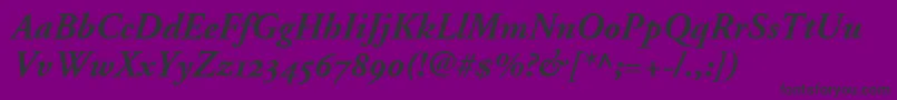 AdobeGaramondBoldItalicOldstyleFigures Font – Black Fonts on Purple Background