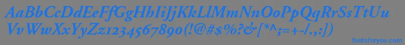 AdobeGaramondBoldItalicOldstyleFigures Font – Blue Fonts on Gray Background