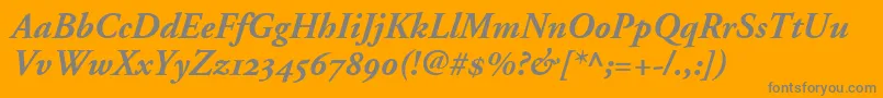 フォントAdobeGaramondBoldItalicOldstyleFigures – オレンジの背景に灰色の文字