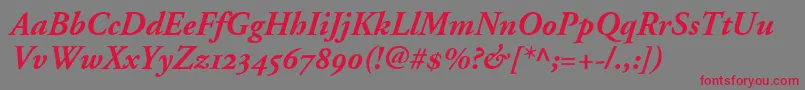 AdobeGaramondBoldItalicOldstyleFigures Font – Red Fonts on Gray Background