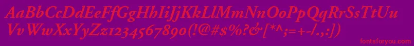 AdobeGaramondBoldItalicOldstyleFigures Font – Red Fonts on Purple Background