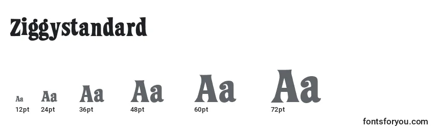 Ziggystandard Font Sizes