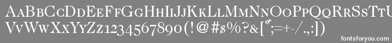 CaslonsmcRegular Font – White Fonts on Gray Background