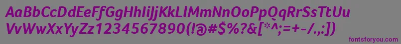 Czcionka FocoBoldItalic – fioletowe czcionki na szarym tle