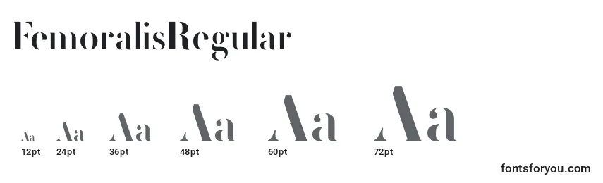 Размеры шрифта FemoralisRegular