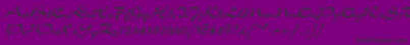 SoledadRegular Font – Black Fonts on Purple Background