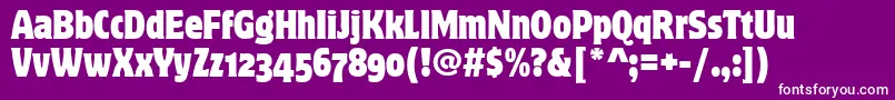MotterCorpusCondOsItcTt Font – White Fonts on Purple Background